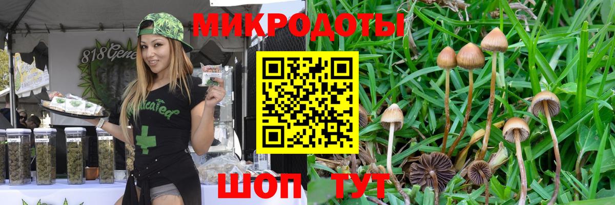 Псилоцибиновые грибы мицелий  Вход с VPN  Лангепас  Галлюциногенные грибы MAGIC MUSHROOMS 